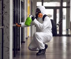 Why You Should Choose Our Mold Remediation Services in Placeholder9